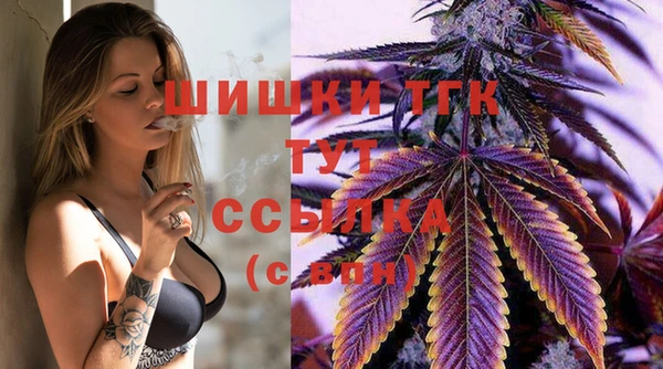 jwh Гусь-Хрустальный