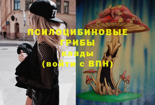 мескалин Гусиноозёрск