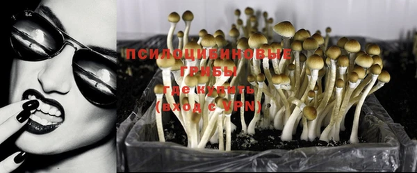 мяу мяу кристалл Гусев