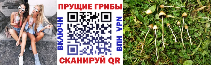 Галлюциногенные грибы Magic Shrooms  Купить закладки  Раменское 